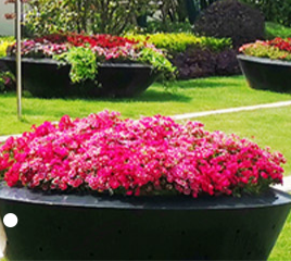 校园景观设计需要把握好哪几项因素