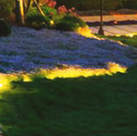 苏州校园景观设计‍的具体方法