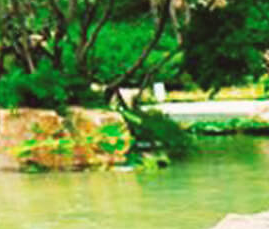 公园景观设计如何做好绿化工作