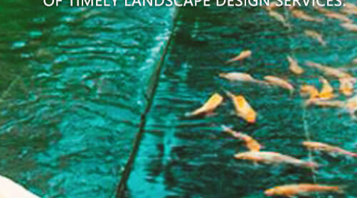 苏州校园景观设计‍需要坚持的原则