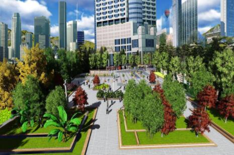 园林设计需要用到哪些景观树的知识